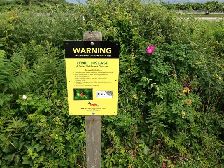 The Increasing Incidence of Lyme Disease and Recent Fatal Cases of